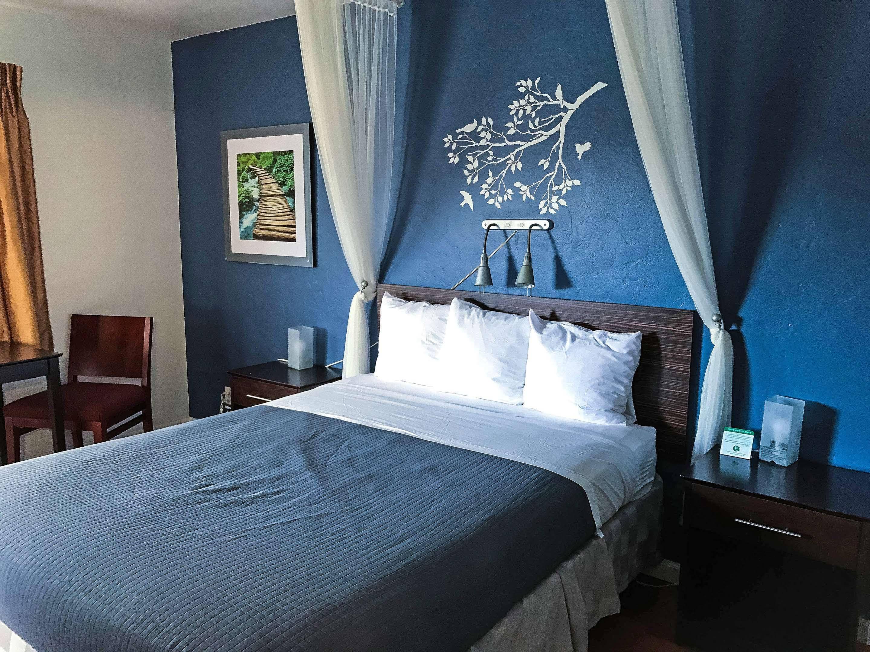 Golden Bear Hotel - Surestay Collection By Best Western Berkeley Bagian luar foto